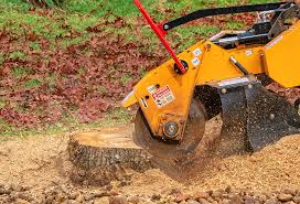 Best Lawn Mowing  in Parker, TX