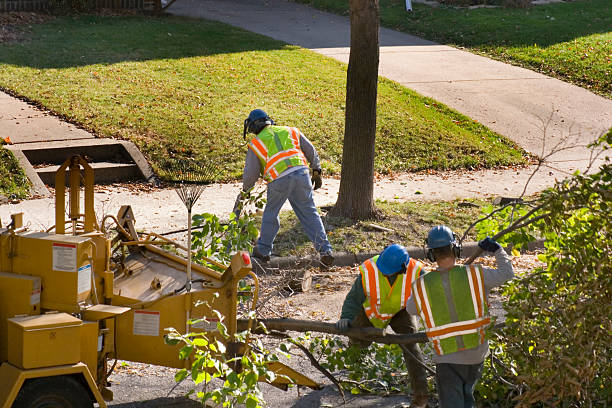 Best Lawn Drainage Solutions  in Parker, TX
